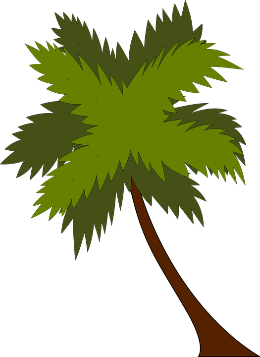 Palm - Coconut Tree Png Vector (500x685), Png Download