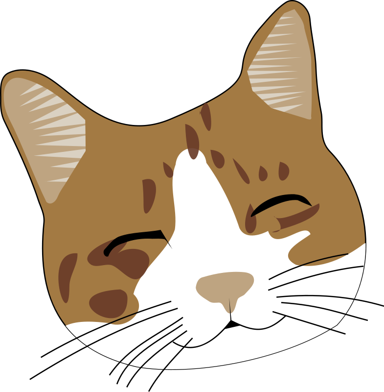 Feline Free On Dumielauxepices Net - Happy Cat Face Cartoon (785x800), Png Download