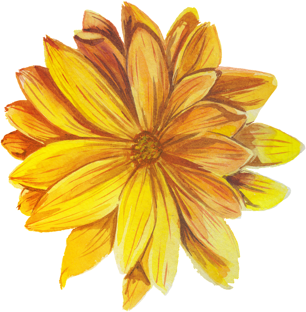 Bom Dia Com Flores (1024x1024), Png Download