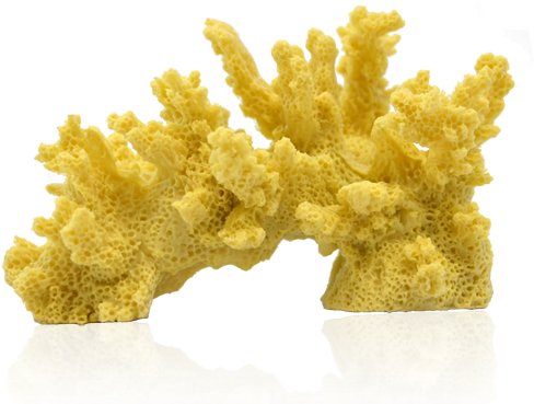 Deep Blue Professional Branch Coral - Deep Blue Branch Coral 35x2x25in Nat-103143 {bin-1}894410 (500x377), Png Download