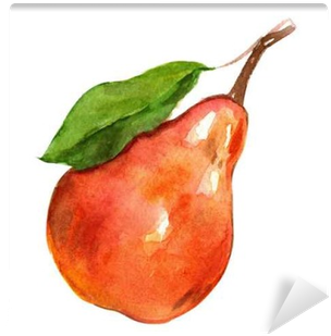 Watercolor Birne (400x400), Png Download