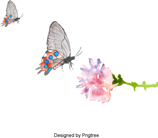 Cartoon Hand-painted Butterfly Pattern Design, Cartoons, - Cartoon (640x640), Png Download