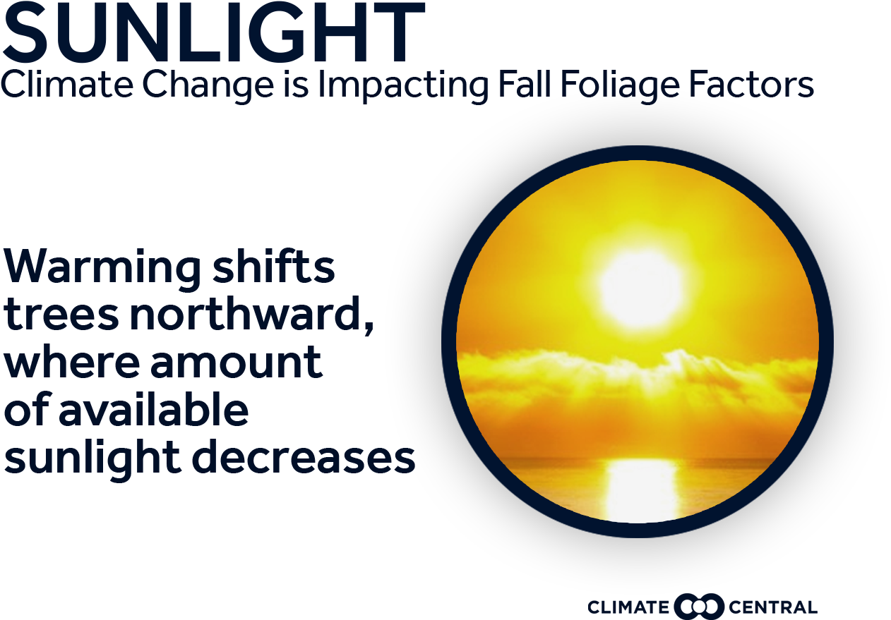 Jpg • Png - Circle (1920x1080), Png Download