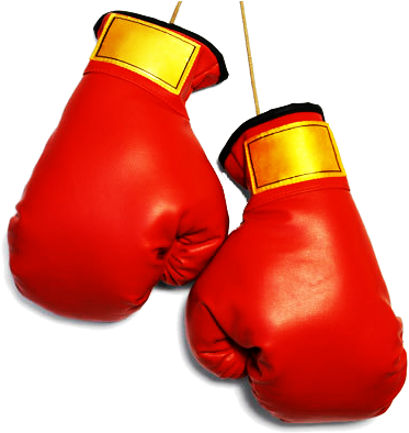 Boxing Gloves Png File - Bully: A Life Of Violence And Transformation (800x500), Png Download