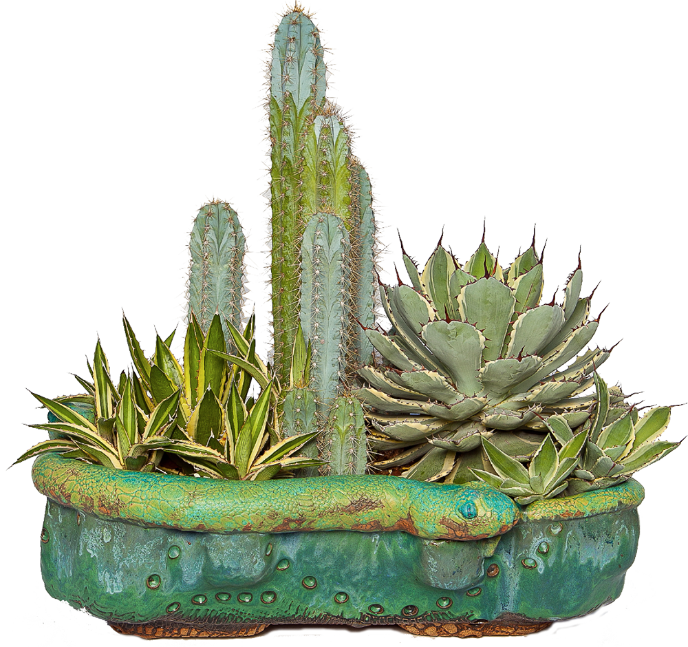 Cactus Png - Cactus Planters Png (1000x940), Png Download