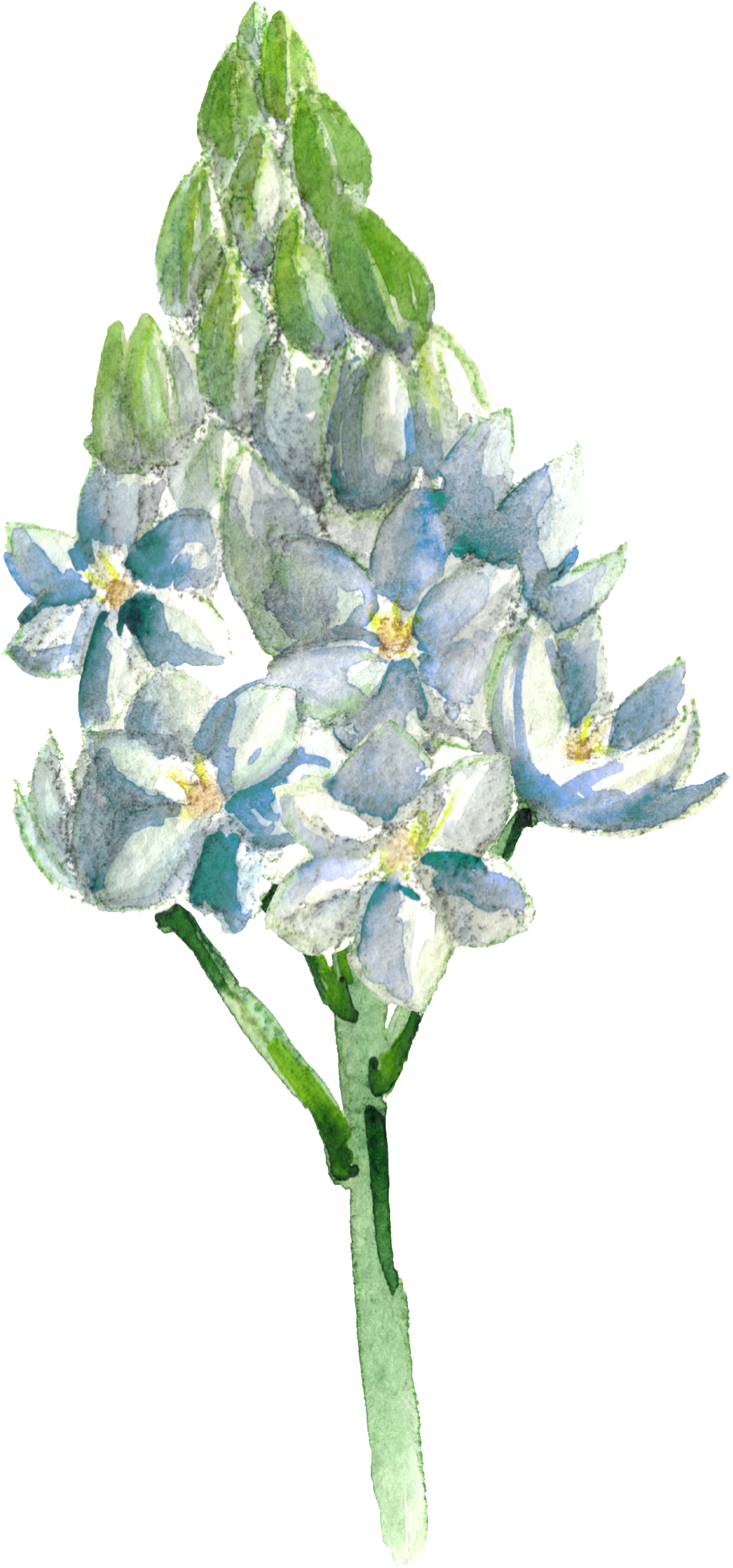 This Graphics Is Hand Painted Blue Flowers Transparent - Portable Network Graphics (1024x2190), Png Download