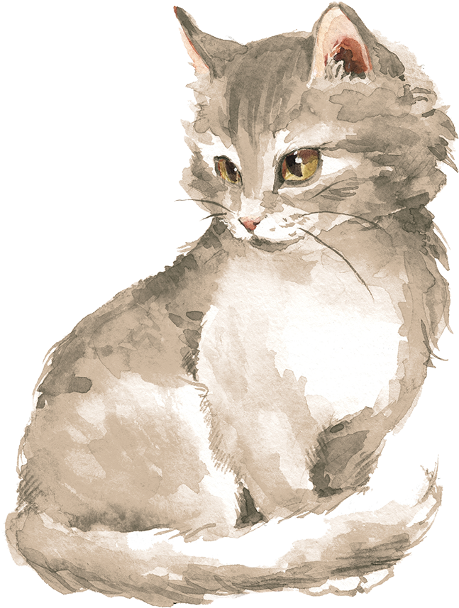 Hundezahnpflege - Kitten Watercolor (1024x1024), Png Download
