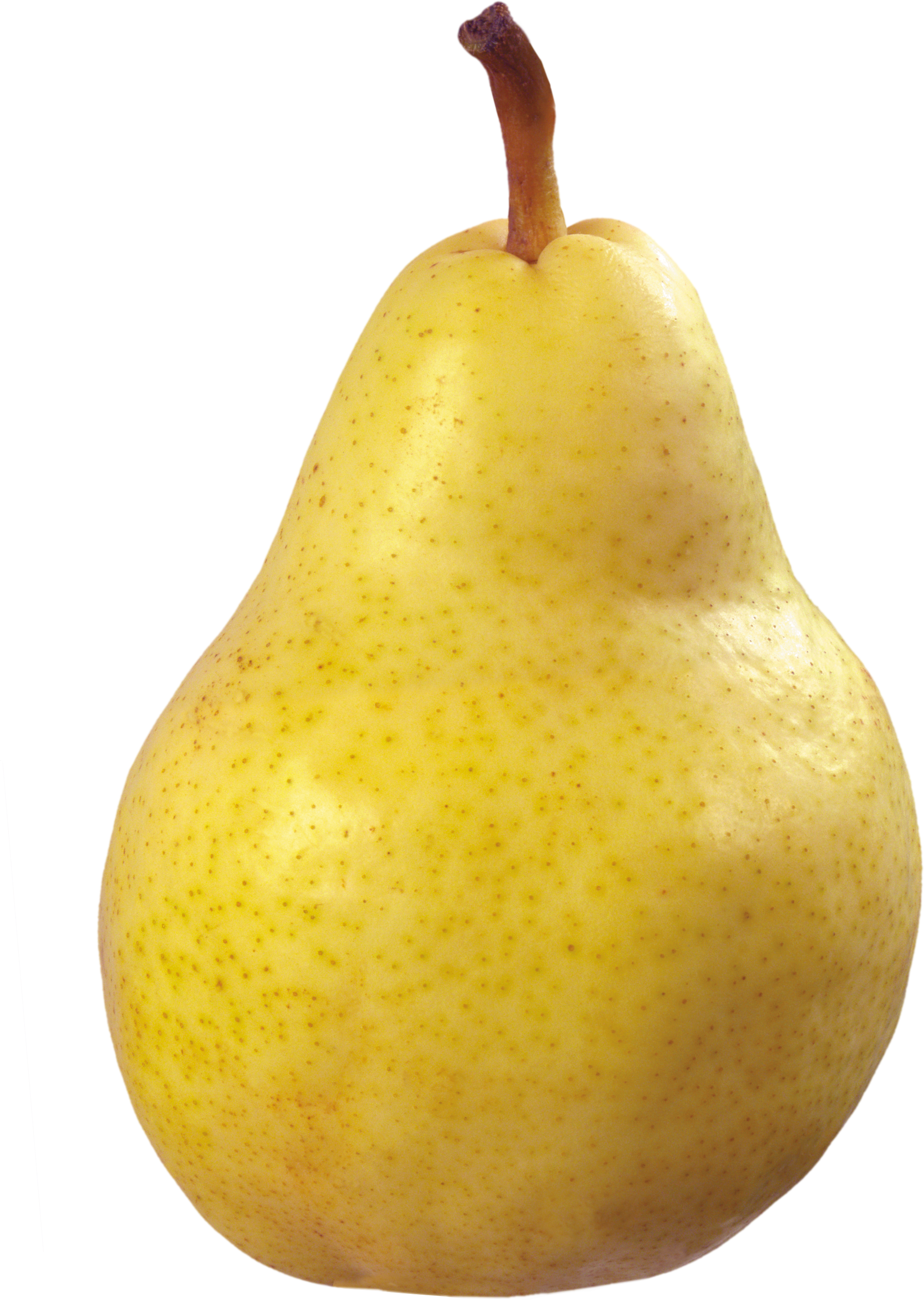 Pear Png - Pear Transparent Png (2131x2998), Png Download