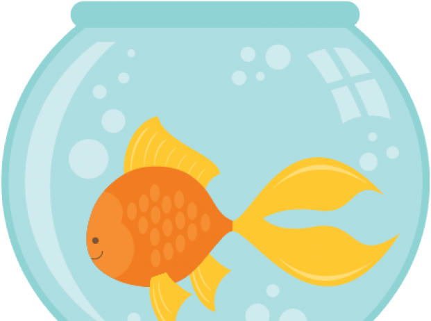 Aquarium (640x480), Png Download