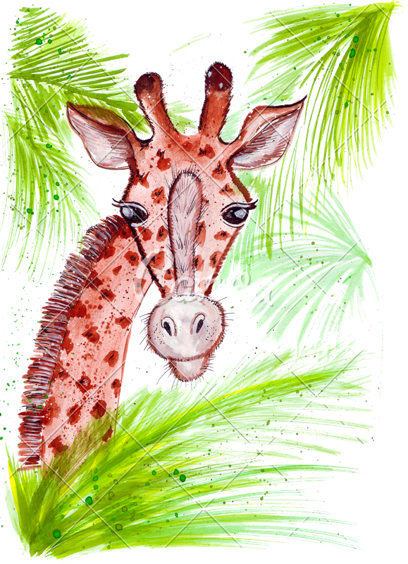 Hand Drawing A Watercolor Of A Giraffe - Drawing (579x800), Png Download