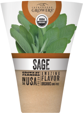 Organic Food (336x400), Png Download