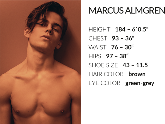 Model (650x405), Png Download