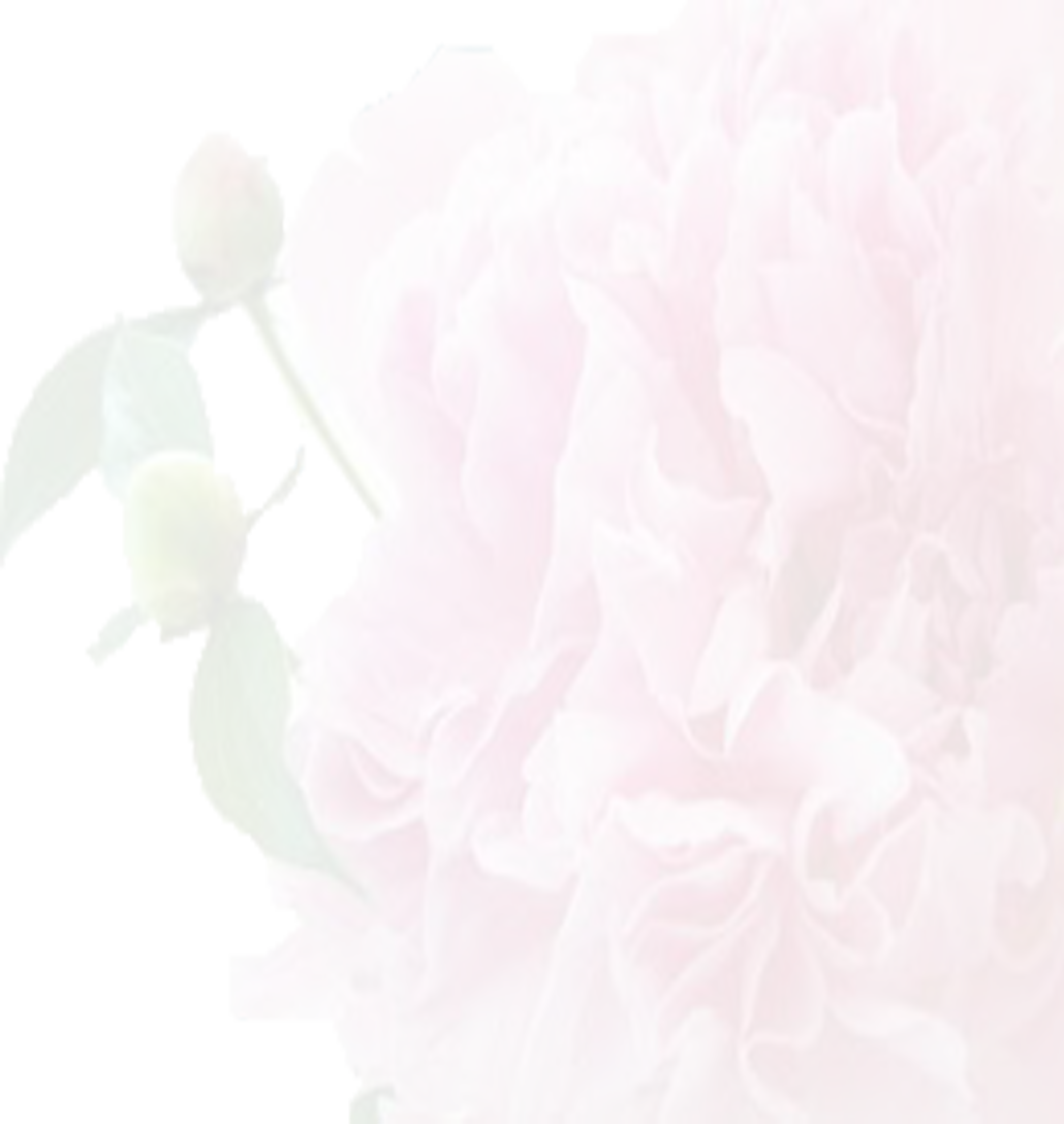 Download Funeral Flower Background Full Size PNG Image PNGkit