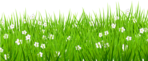 Grass With Flower Background Png - Grass Clipart Transparent (600x290), Png Download