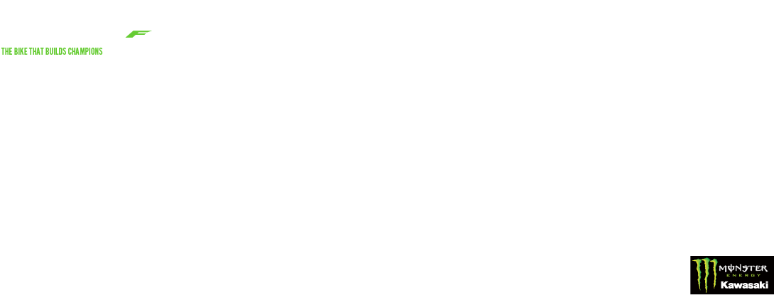 Kawasaki Motorcycles, Atv, Sxs, Jet Ski Personal Watercraft - Bird (1230x500), Png Download