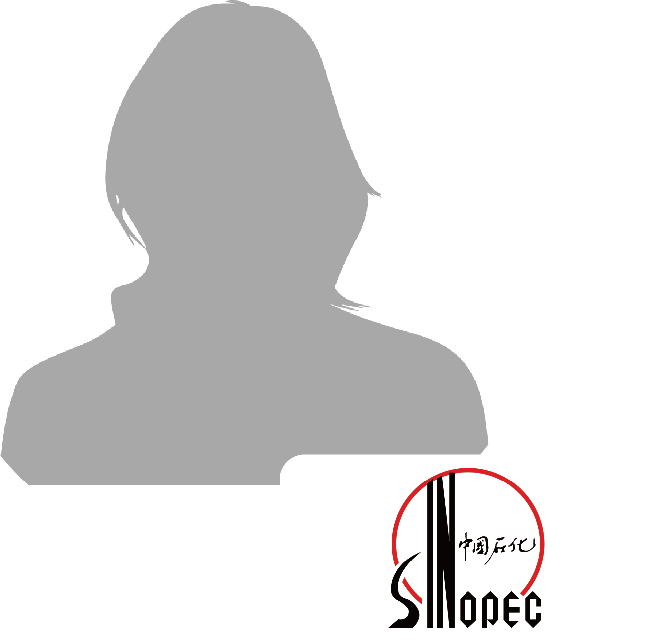 Sun Lili China Smart Manufacturing Oil Gas Petrochemical - Photography (1551x1452), Png Download