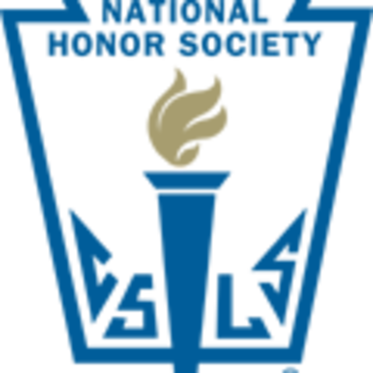 Background Image National Junior Honor Society`s Profile - National Honor Society Logo (1200x1200), Png Download