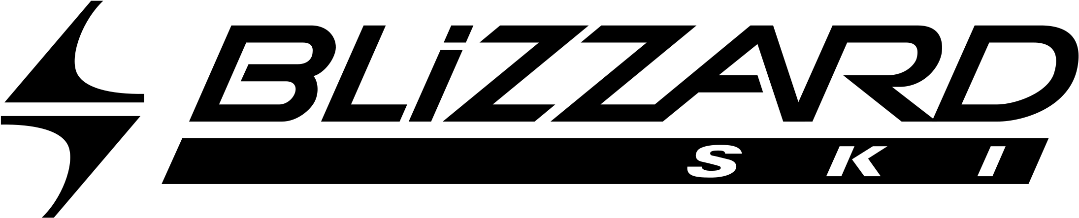 Blizzard Ski Logo Png Transparent - Blizzard Ski Logo Png (2400x2400), Png Download