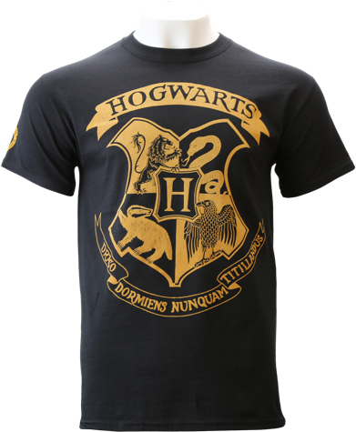 Hogwarts Flock T-shirt - Primark Harry Potter T Shirt (480x480), Png Download
