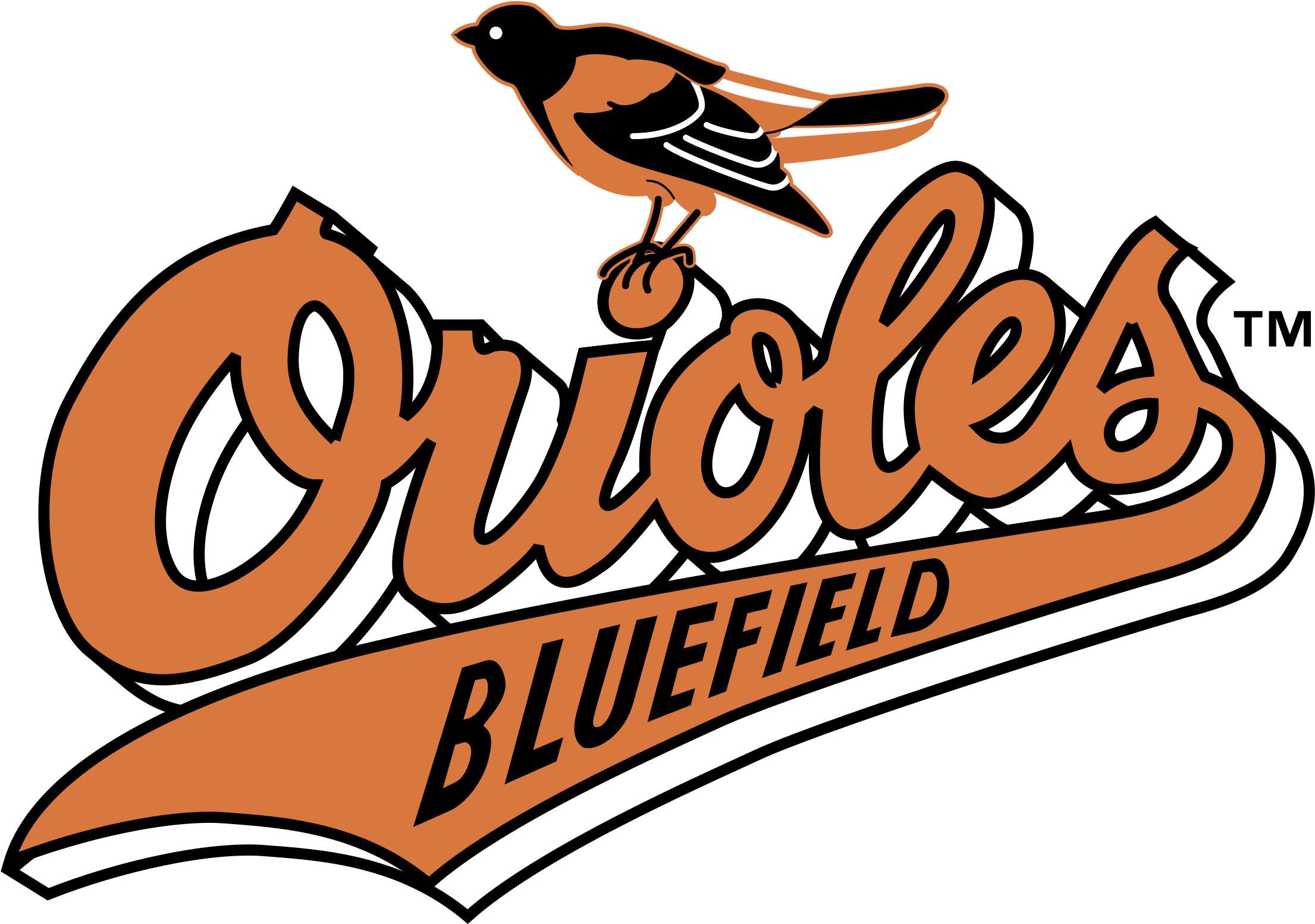 Bluefield Orioles Logo Png Transparent - Bluefield Orioles Ootp (2400x2400), Png Download