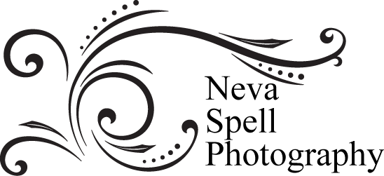 My - Nichols Photography (548x251), Png Download