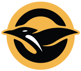 Chorus - Penguins Pittsburgh Gold Logo (400x320), Png Download