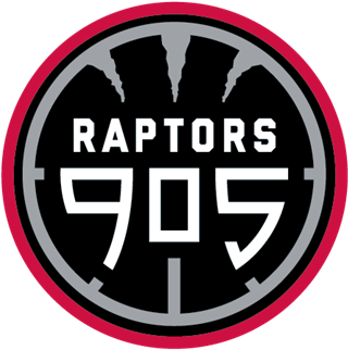 Raptors 905 Logo (353x351), Png Download