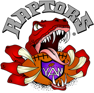 M Raptors Football - Yam Raptors (960x365), Png Download