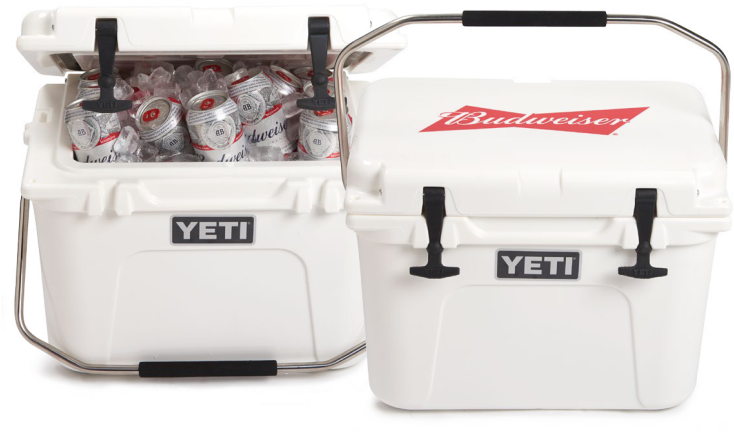 Yeti Roadie 20 (793x508), Png Download