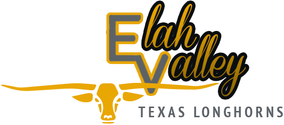Elah Valley Longhorns Logo - Texas Longhorn (584x258), Png Download