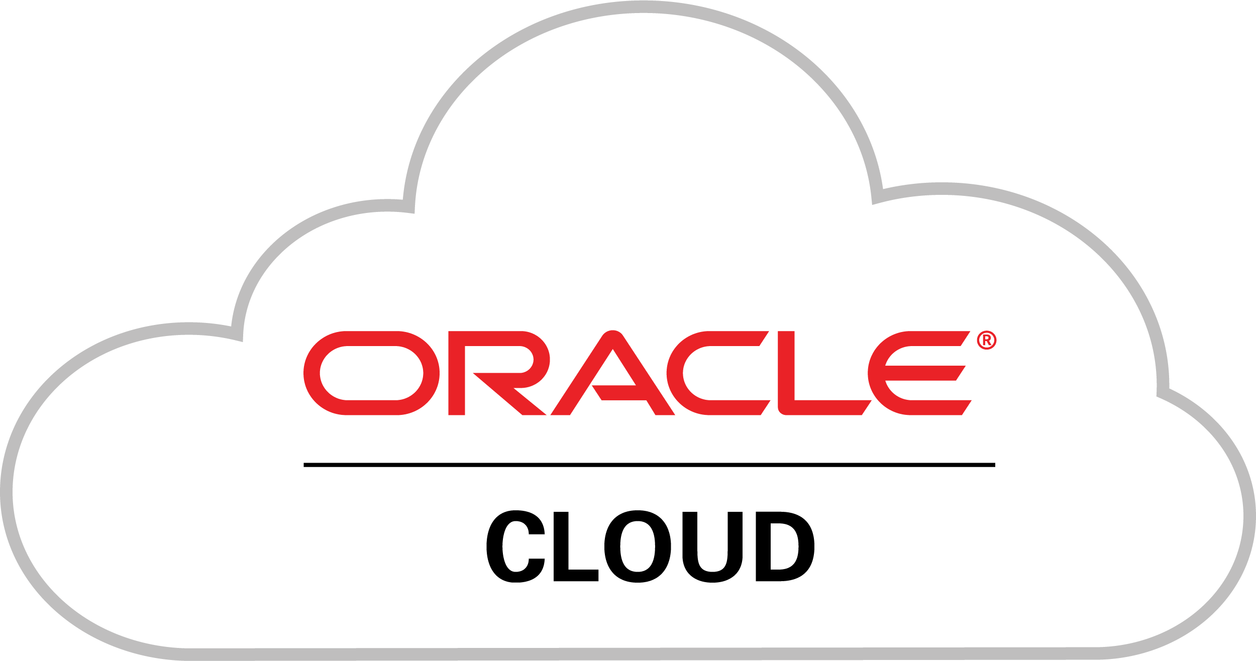 We Deliver Apt Solutions With Value Propositions That - Oracle Cloud Png (500x263), Png Download
