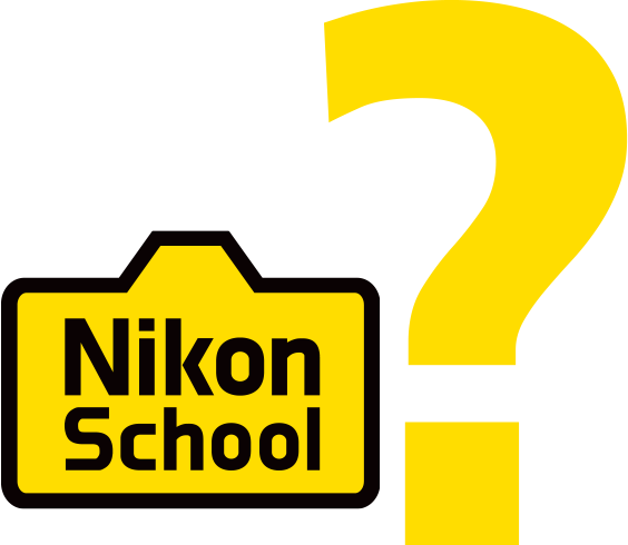 From The Minute You Hold Your New Nikon Dslr In Your - Nikon School (564x490), Png Download