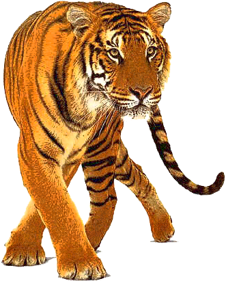Freeuse Idol Competition Male Singing Logo - Png Animal (347x450), Png Download