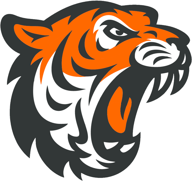 Texas Tigers Hockey (1024x701), Png Download