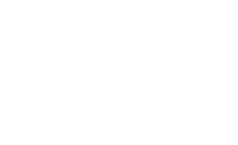 onitsuka tiger logo
