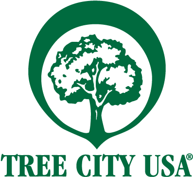 For 25 Consecutive Years, The National Arbor Day Foundation - Tree City Usa (400x380), Png Download