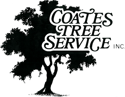 Coates Tree Service, Inc. (408x316), Png Download