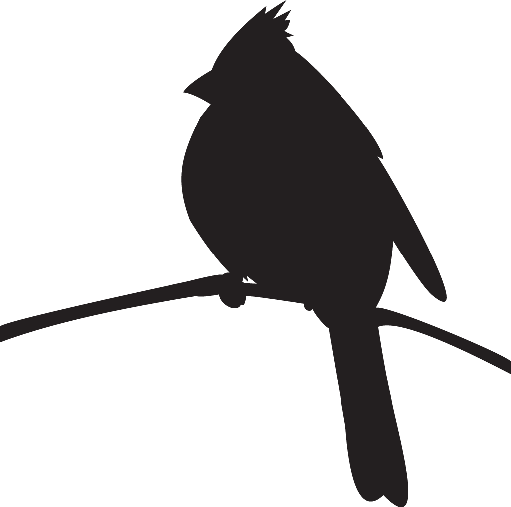 Northern Cardinal Overview, All About Birds, Cornell - Red Cardinal Bird Silhouettes (1024x1024), Png Download