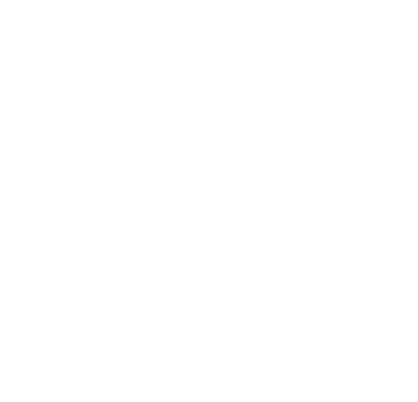 Www - Ecw - Org - Nz - Richard Waugh (600x577), Png Download
