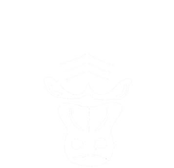 Activitiesstaff - South Saint Paul Packers Logo (360x360), Png Download