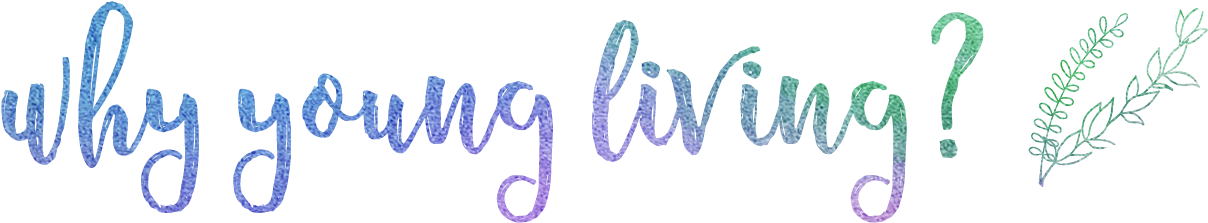 Image Result For Young Living Logos Young Living, Essential - Young Living (1366x768), Png Download