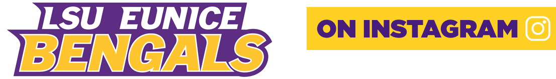 Lsue Promo 3 Instagram - Instagram (1416x300), Png Download