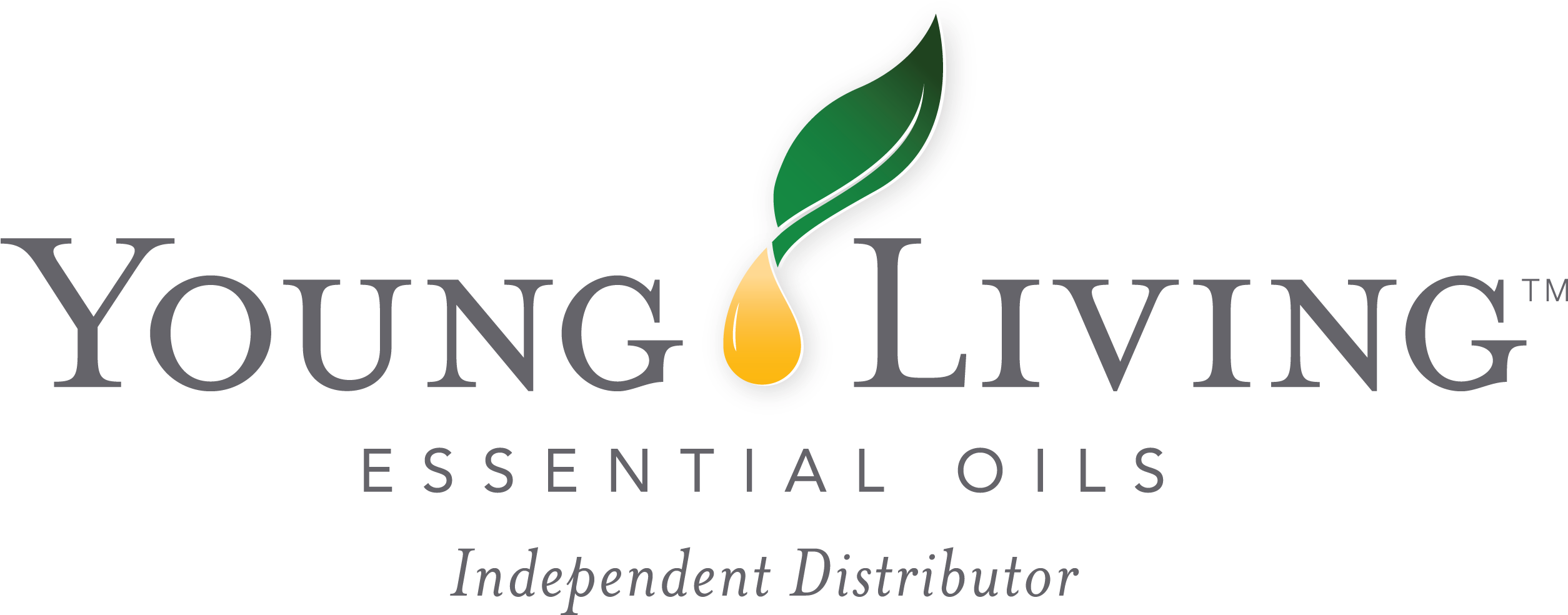 Yl Logo - Young Living Logo Black (2700x1050), Png Download