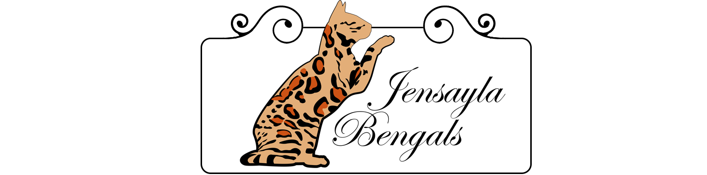Bengal Cat Logo (1424x353), Png Download