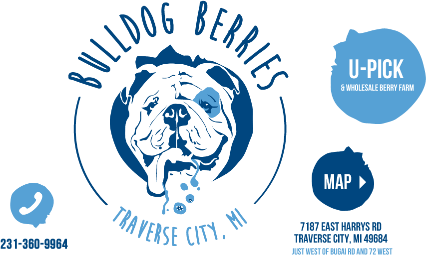 Bulldog Berries U-pick Blueberries Saskatoon Traverse - Berry Farm Logo (855x533), Png Download