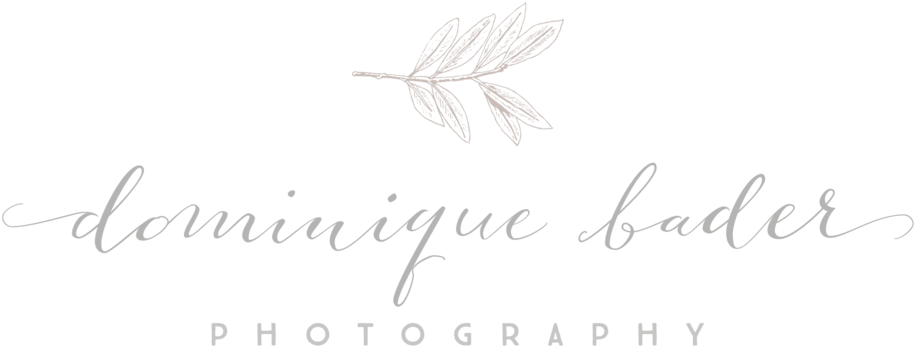 Dominique Bader Photography Logo Design By Ditto Creative, - Ditto Creative (1000x432), Png Download