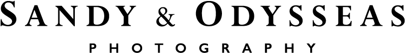 Creative Director & Content Designer - Parallel (1000x1000), Png Download