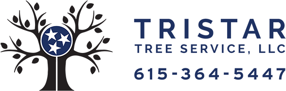 Contact Us Today - Tennessee (600x200), Png Download