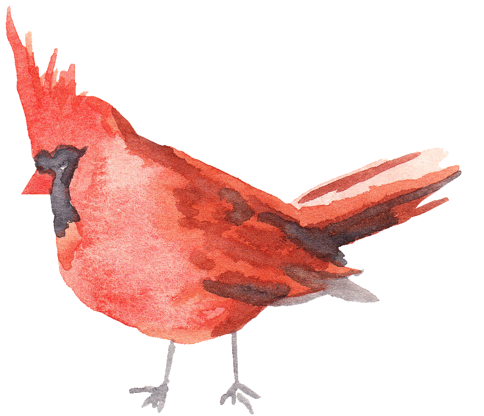 Illustration (1024x870), Png Download