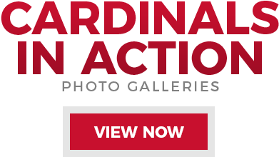 Ian Somerhalder Foundation Logo (400x300), Png Download